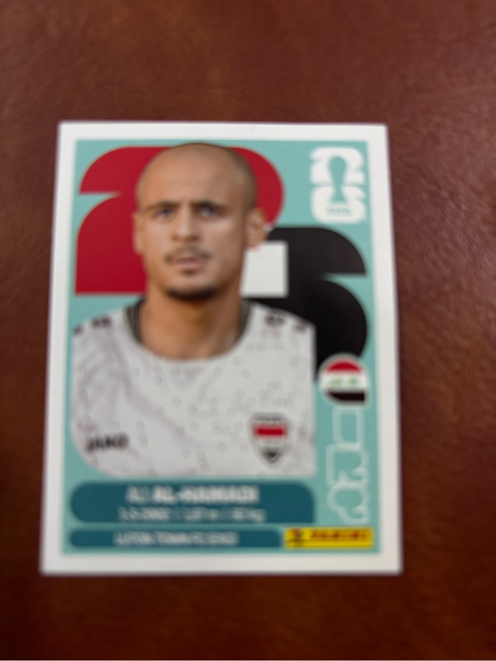 Panini FIFA Sticker - White, Gray, Black Design